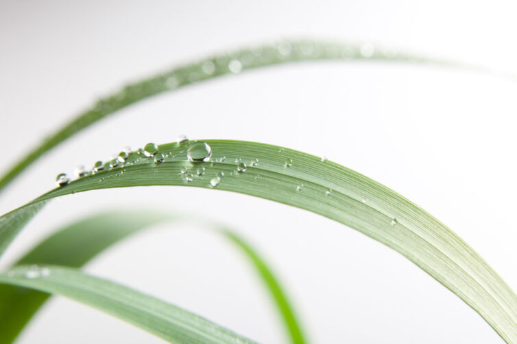 ZoneCreative_2009_00477